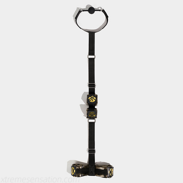 Enigma Gold Ball Gag Restraint Set